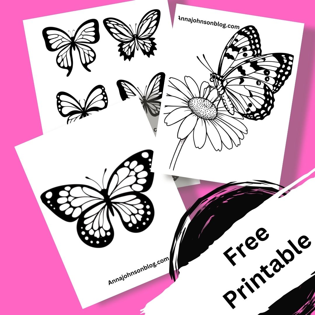 Butterfly Life Cycle Color Sheet