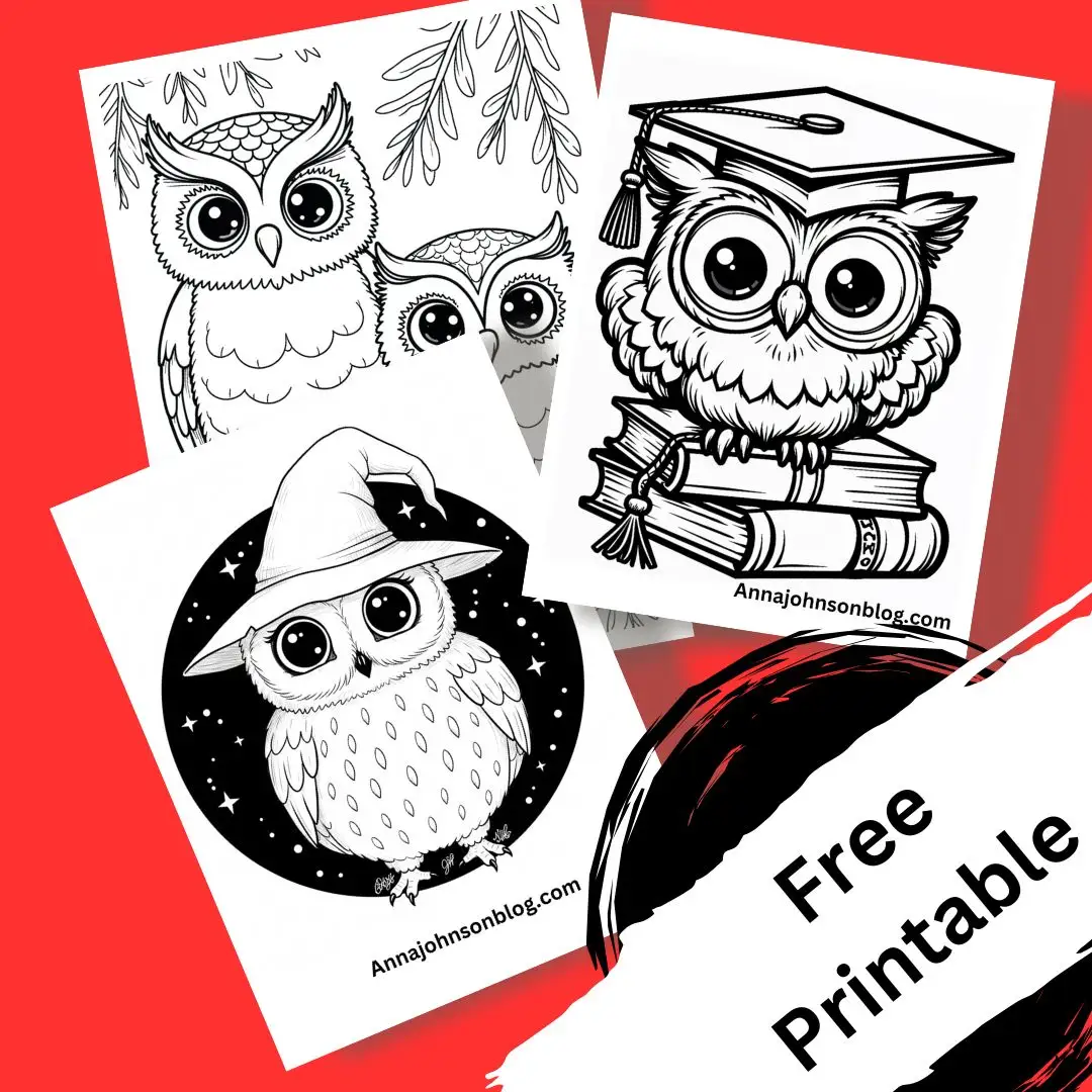 Owl Coloring Pages Colored