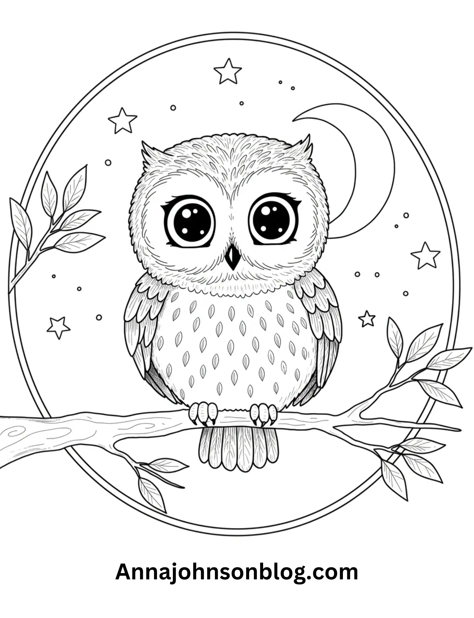 owl-coloring-pages-colored