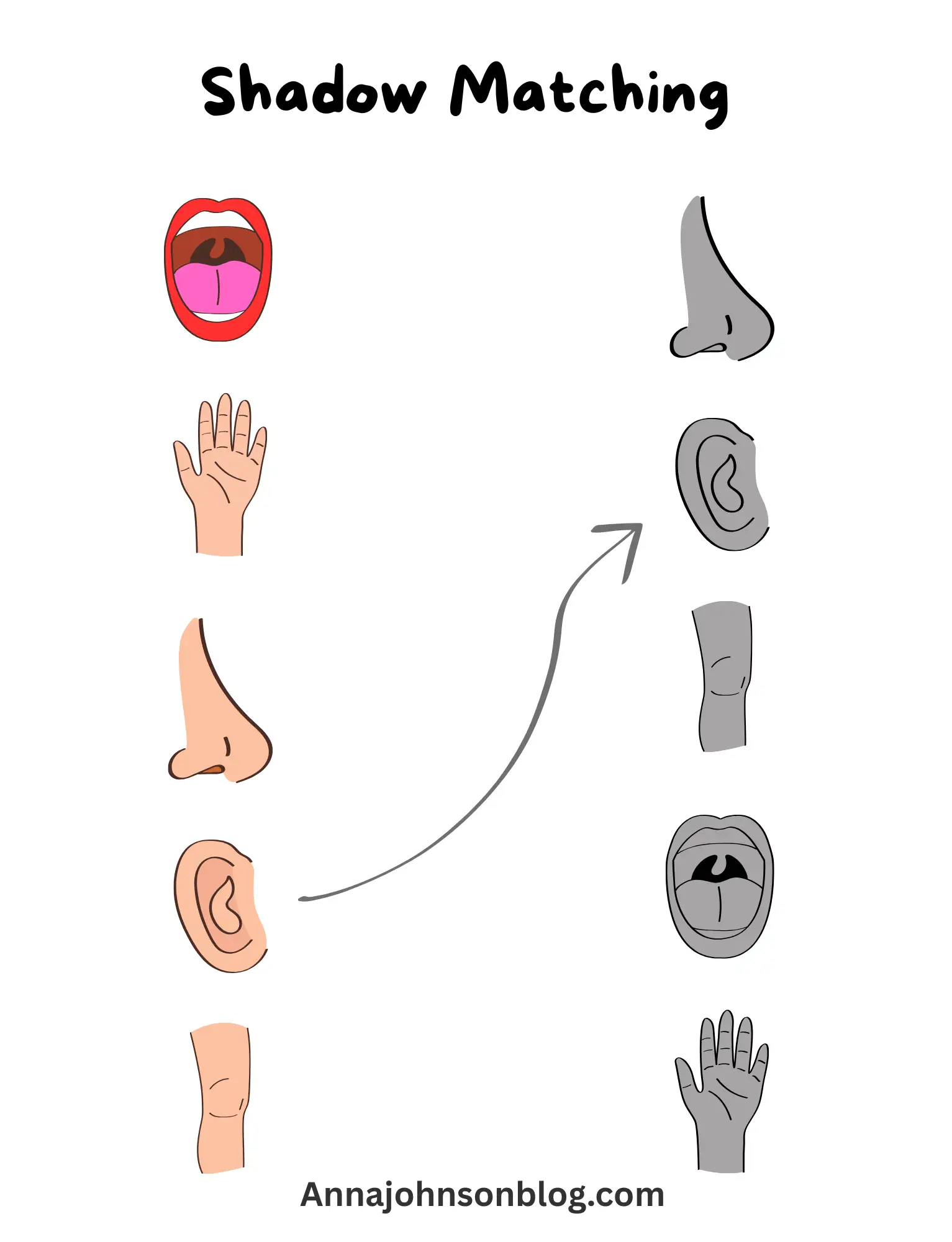 worksheet-body-parts-preschool