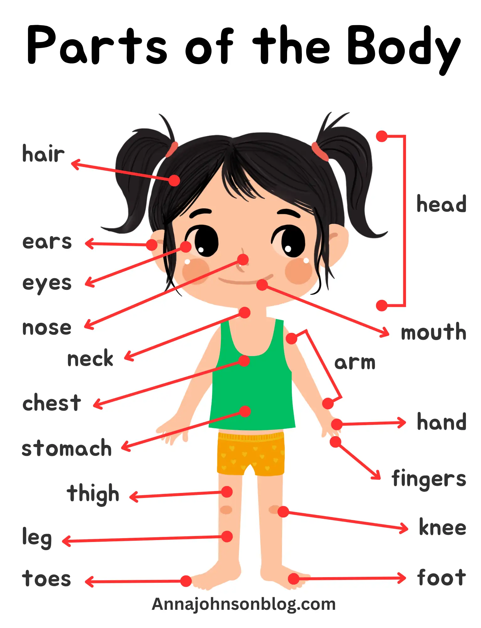 worksheet-body-parts-preschool